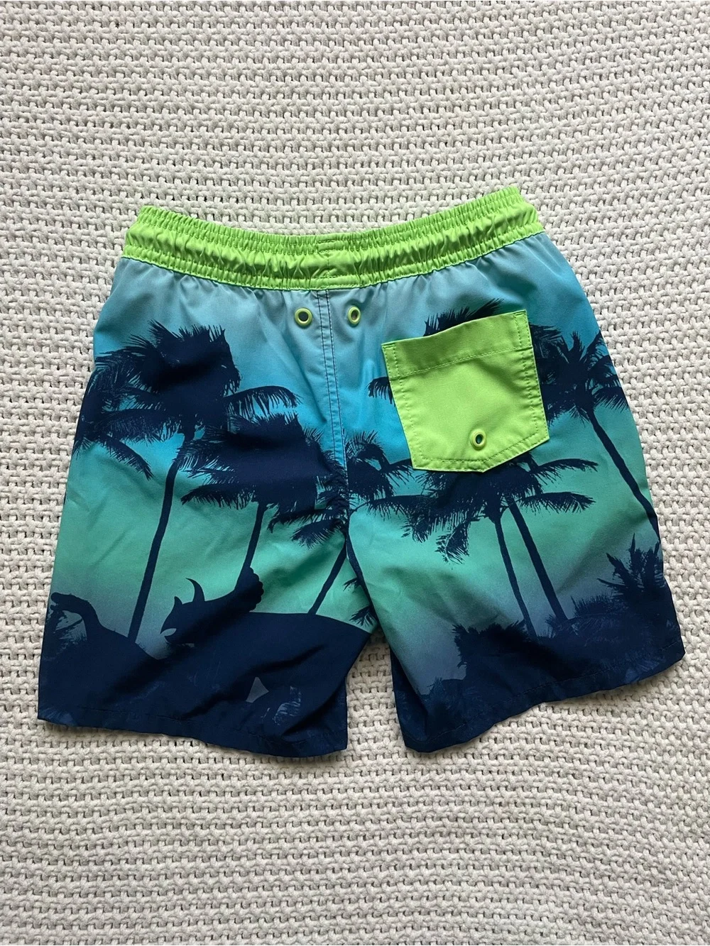 Lands' End Boys Green & Teal Dinosaur Swim Trunks